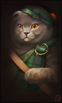 Scottish Fold by GaudiBuendia