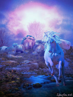 night race by Lolita-Artz night race by Lolita-Artz