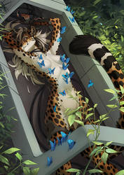 butterflies by Orphen-Sirius