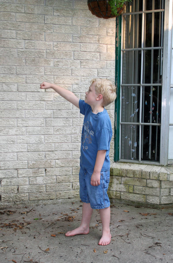 boy knocking 02 by goodiebagstock