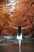 autumn 2 by carpeemorteem