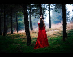 in red 3 by carpeemorteem