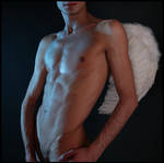 White wings by zakharova
