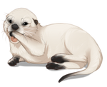 White Otter by TokoTime