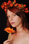 Automn 9 by Meltys-stock