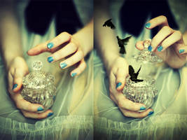 Ombres oiseaux by Oragerie