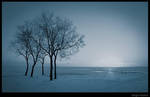 Winter by SergioPachini