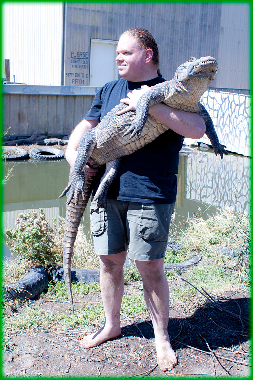 Colorado Gators 2011-09-18 193 by ByLagarto