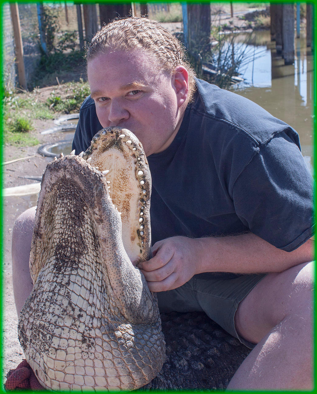 Colorado Gators 2011-09-18 404 by ByLagarto