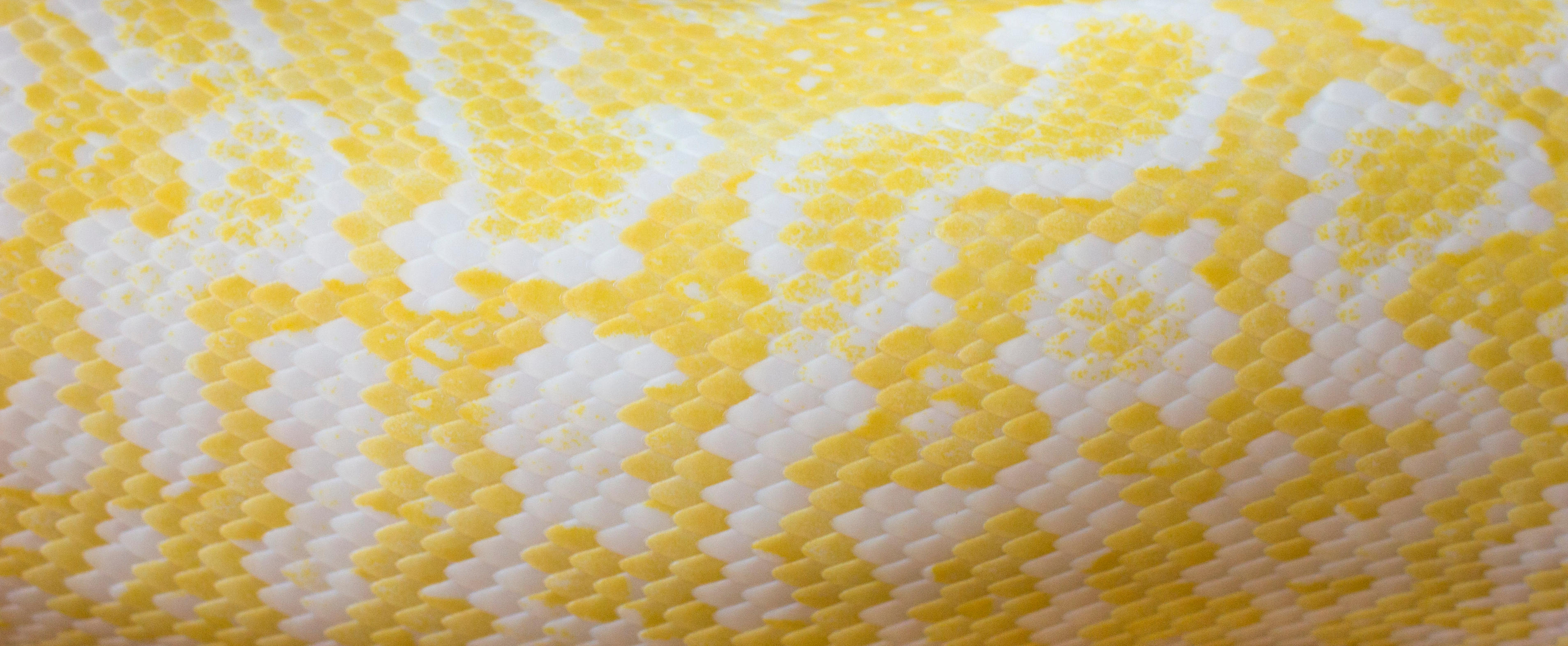 skin your gmail - yellow edition by ByLagarto