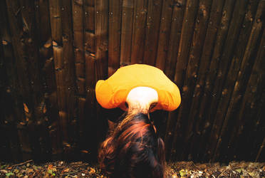 rabbit heart by zombiemeena