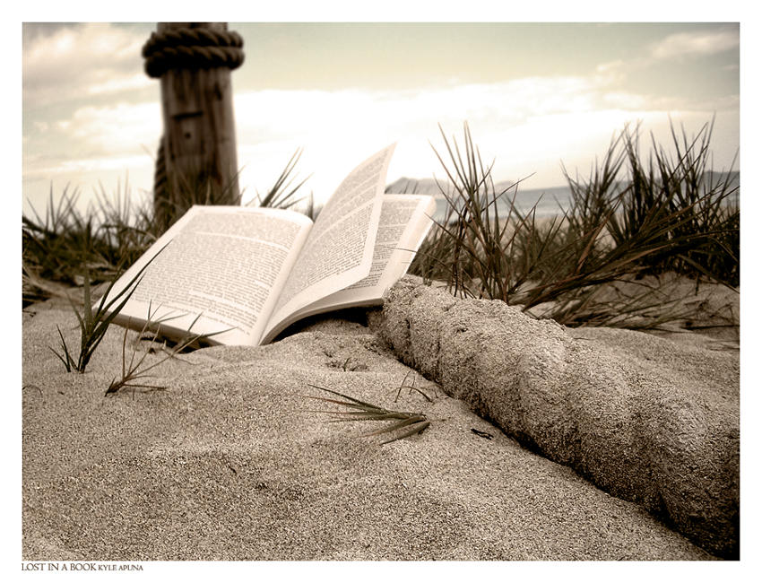 Lost In A Book by indie-cisive