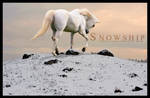 HP: Snowship by chaoticXinsane