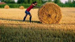 a title by littlevang