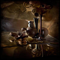 Small space by photoport