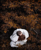 two-head composition by photoport