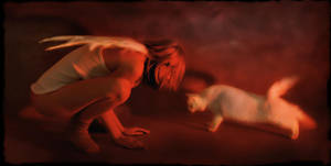 Night life of cats by photoport