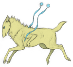 Spirit by Canis-ferox