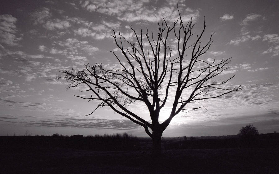The Old Loner II by Helkathon