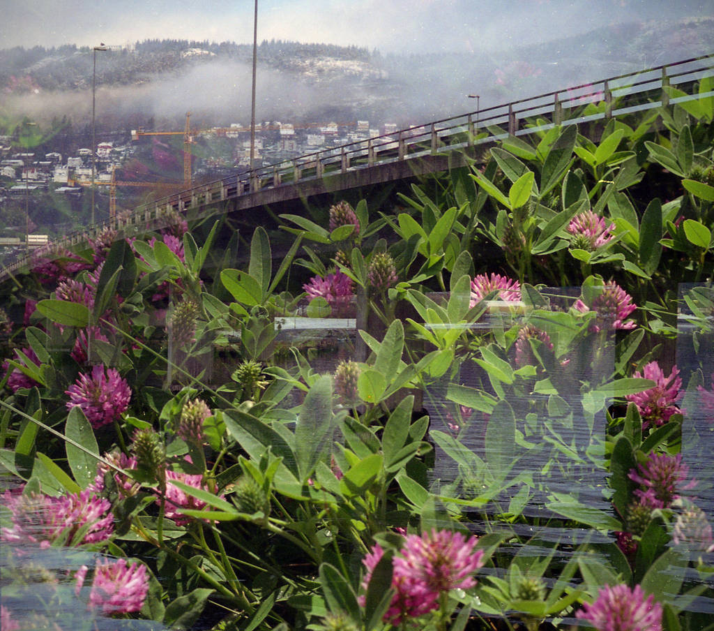 FilmSwap: Norwegian Bridge Meets Lithuanian Clover by Helkathon