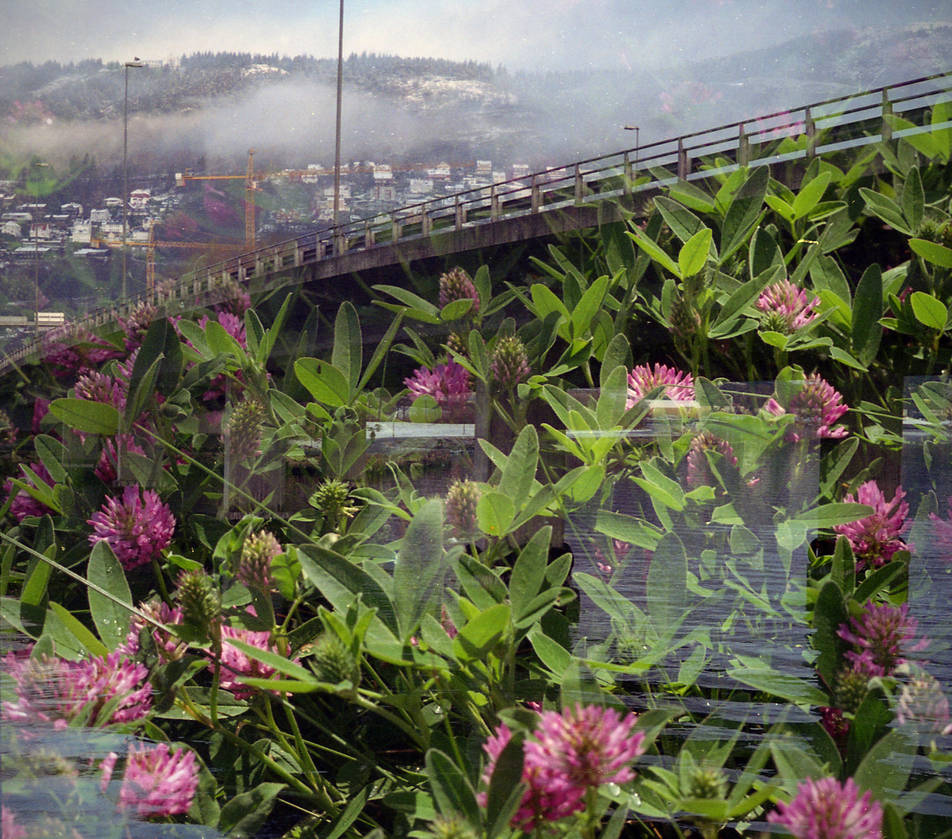 FilmSwap: Norwegian Bridge Meets Lithuanian Clover by Helkathon
