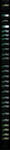 Aston Martin DBR9 Tutorial by Brisk06