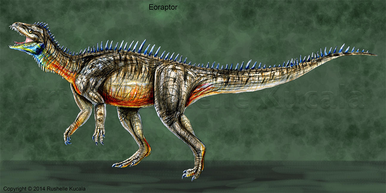 Eoraptor Reconstruction by TheDragonofDoom