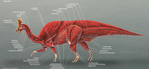 TheDragonofDoom's DeviantArt Gallery