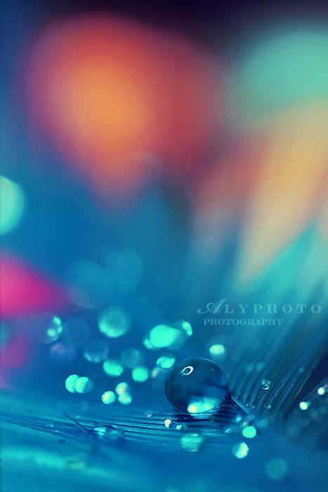 Contrasting by Alyphoto