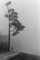 Morning walk by JDV-from-A