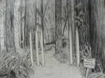 Forbidden Forest by Link-of-the-twilight