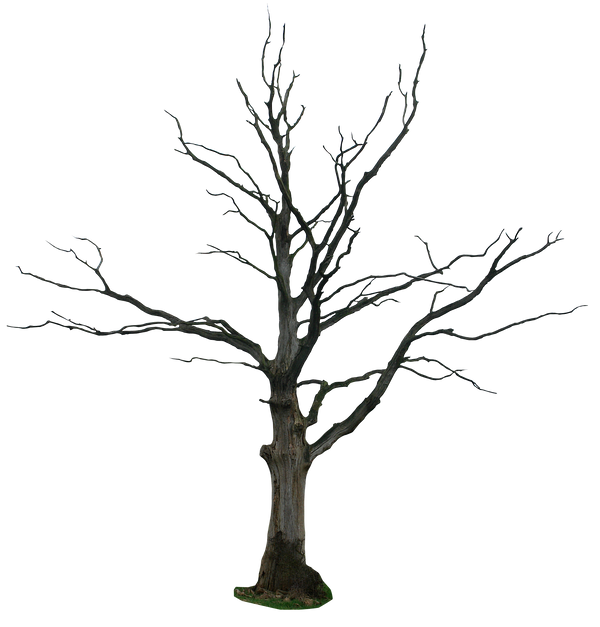 dead tree png by gd08