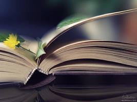 A World to Discover by aninyosaloh