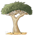 Draw a Flora: Dragon's Blood Tree by BlueRocketMouse