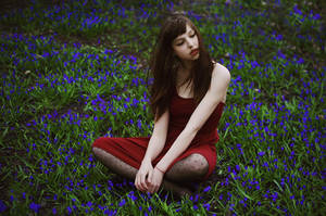 Paris Blue by haania