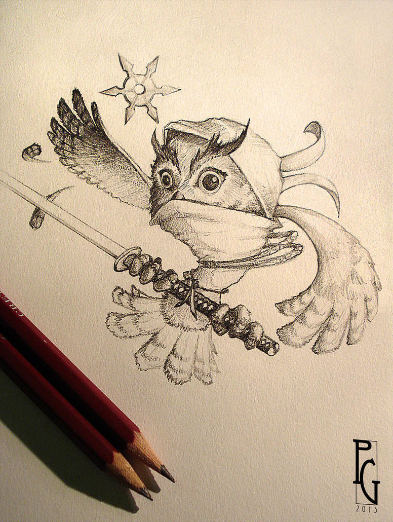 ninja owl by telmand
