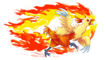 Flame Charging Combusken! by Kosmotiel