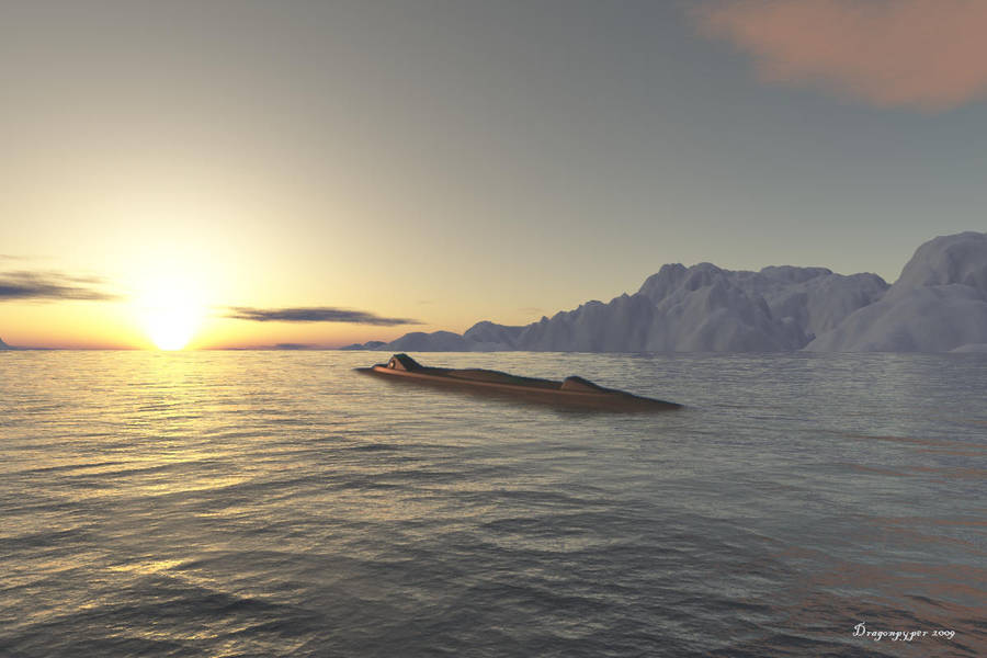 Nautilus at Sunset by dragonpyper