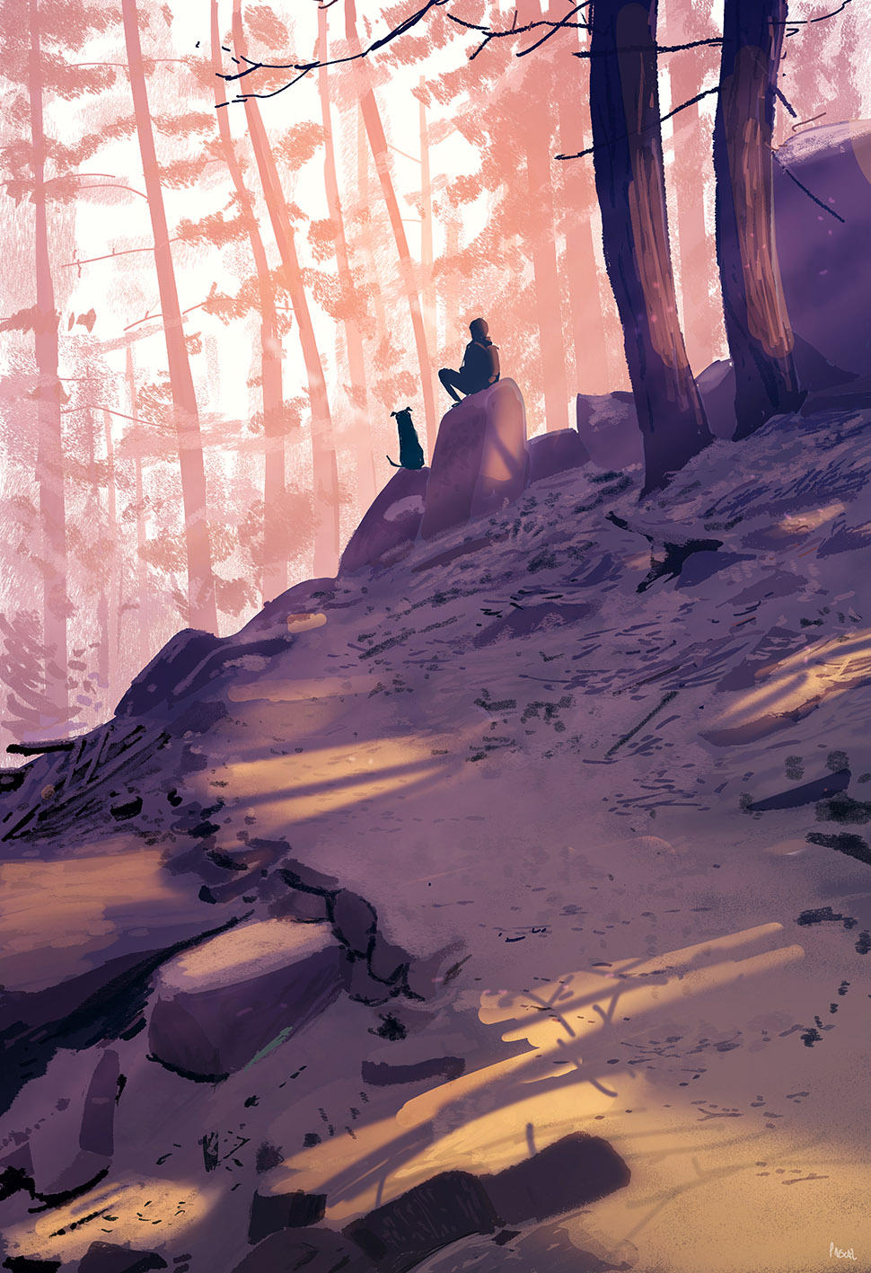 And then you stop, you sit and you take it all in. by PascalCampion