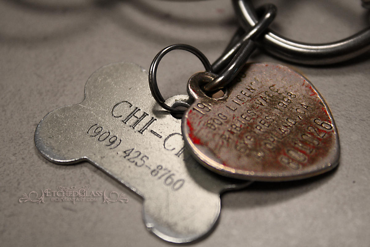 Dog Tags by etchedglass