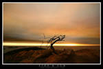 Fire and Sun by TomMontgomery