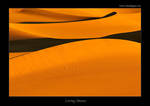 Living Dunes by tomaskaspar