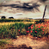 before the storm by Artemisia-dream