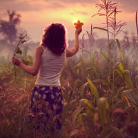 Learn the Freedom.. by Khomenko