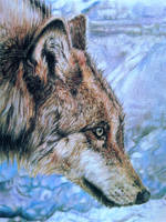 Grey Wolf - Look Before You Leap DETAIL by BeckyKidus