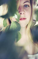 Hidden In Your Paragraphs by bigcitydreams