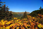 Mt. Roberts 01 by GabOrcinus
