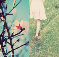 Searching by CohenRon