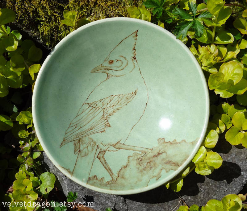 Steller's Jay Bowl by tser