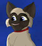 Siamese Cat by Charlie-Breen